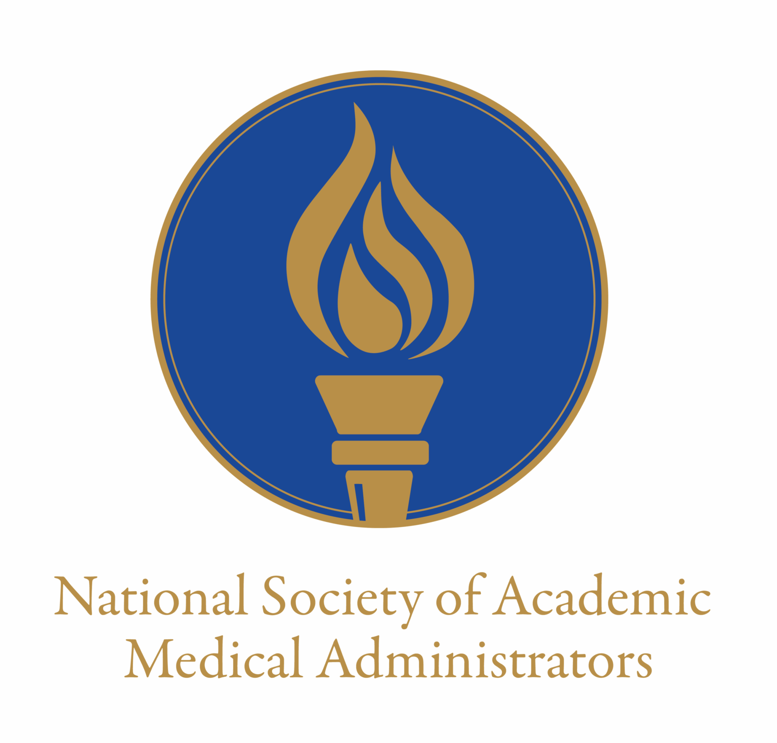 NSAMA Logo